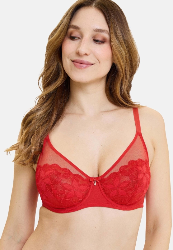 70AAN73-SALOM~~---AN73